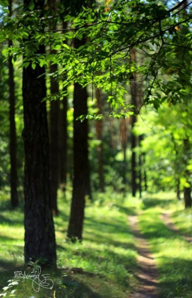 Фотовиставка Тетяни Должко